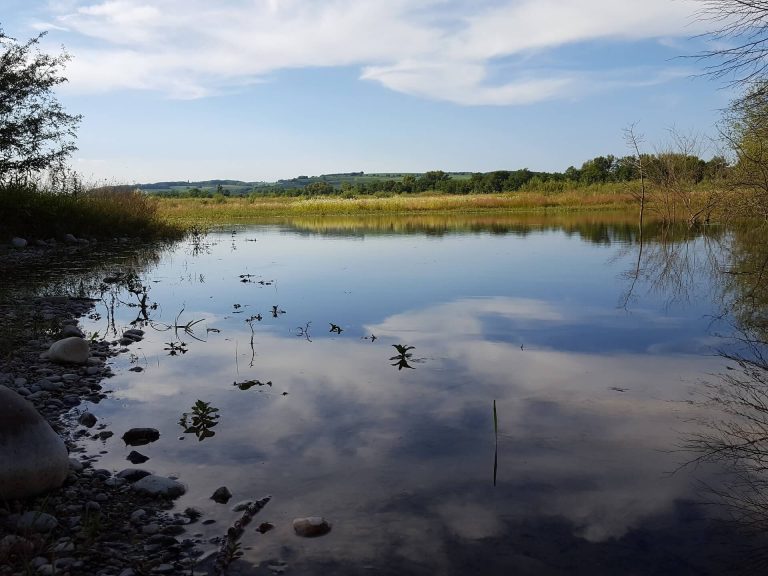 biodiversité alsace