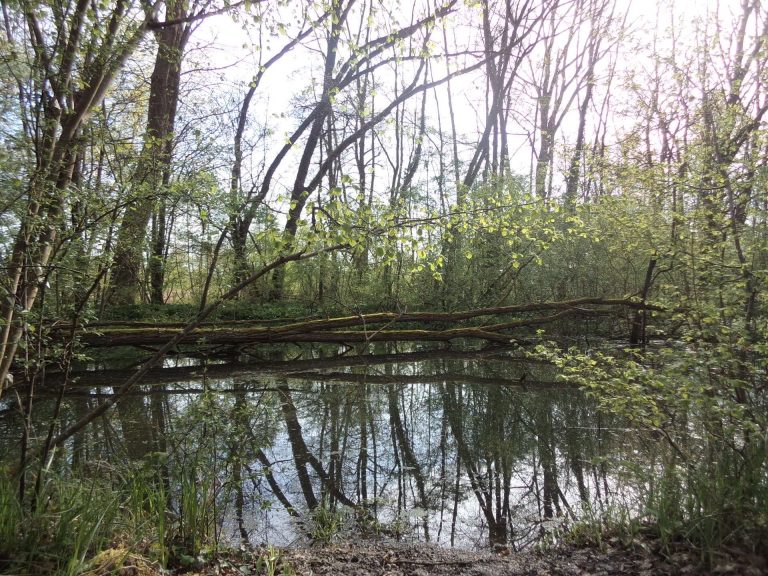 biodiversité sortie scolaire