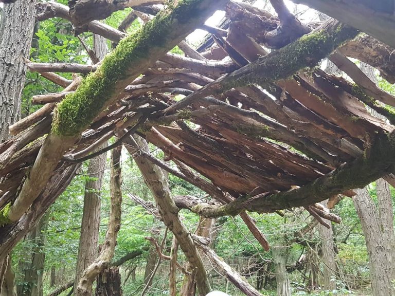 bois mort sortie réserve naturelle