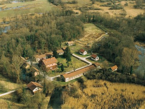 Petite Camargue Alsacienne vue aérienne