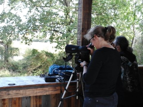 Biodiversité animation Petite Camargue Alsacienne