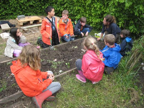 animation-un-jardin-ete-pour-la-biodiversite