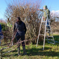 Chantier Corrid'Or