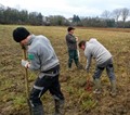 Chantier plantation