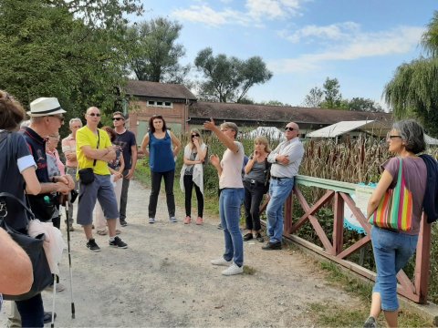 animation groupe adulte Petite Camargue Alsacienne