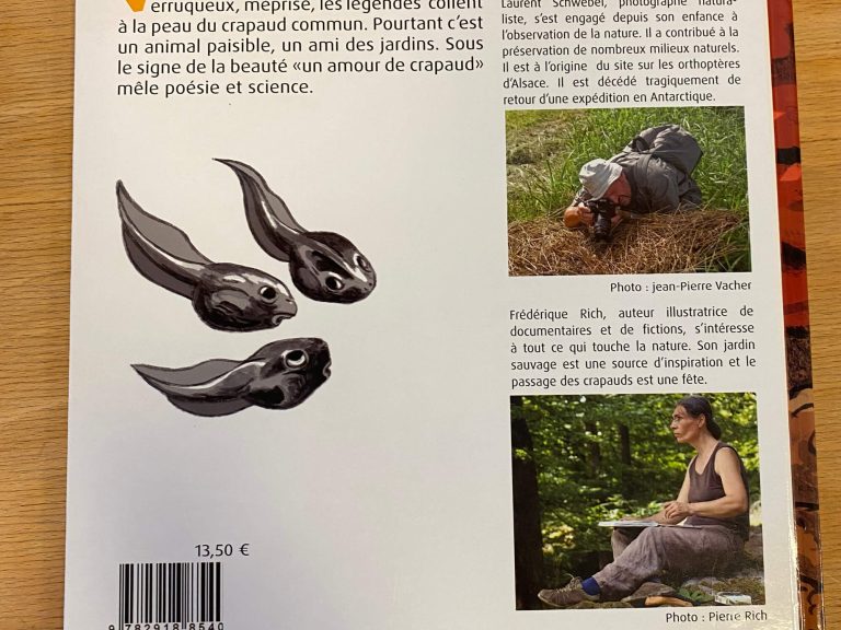 Livre un amour de crapaud Petite Camargue Alsacienne boutique