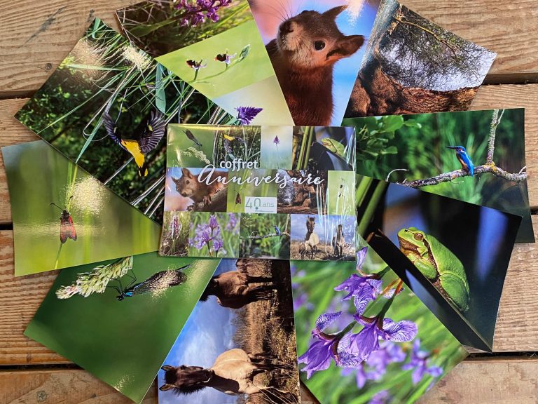 Cartes postales coffret anniversaire réserve naturelle Petite Camargue Alsacienne