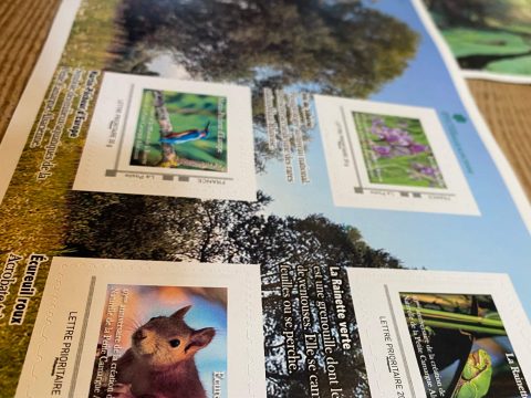 Coffret anniversaire 40 ans timbres boutique Petite Camargue Alsacienne