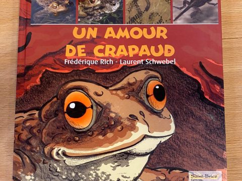 Livre un amour de crapaud Petite Camargue Alsacienne