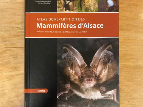 Atlas de répartition des mammifères en Alsace Petite Camargue Alsacienne