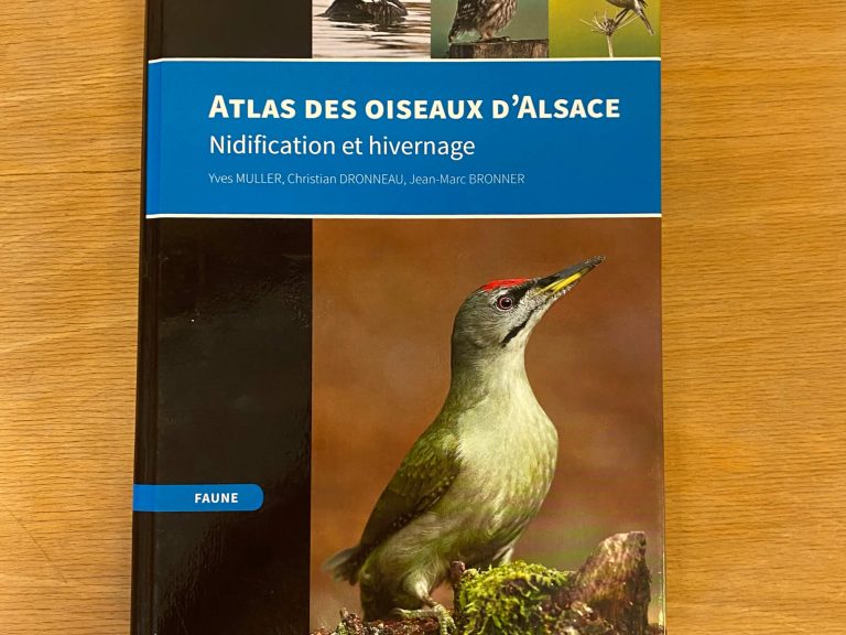 Atlas des oiseaux d'Alsace Petite Camargue Alsacienne