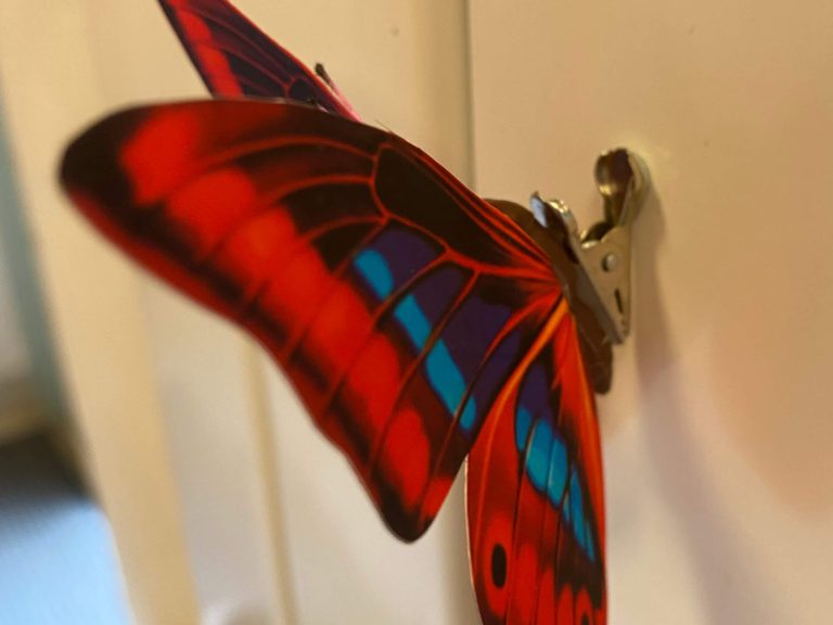 Magnets papillons boutique Petite Camargue Alsacienne