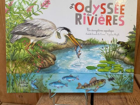 Livre l'odyssée des rivières Petite Camargue Alsacienne