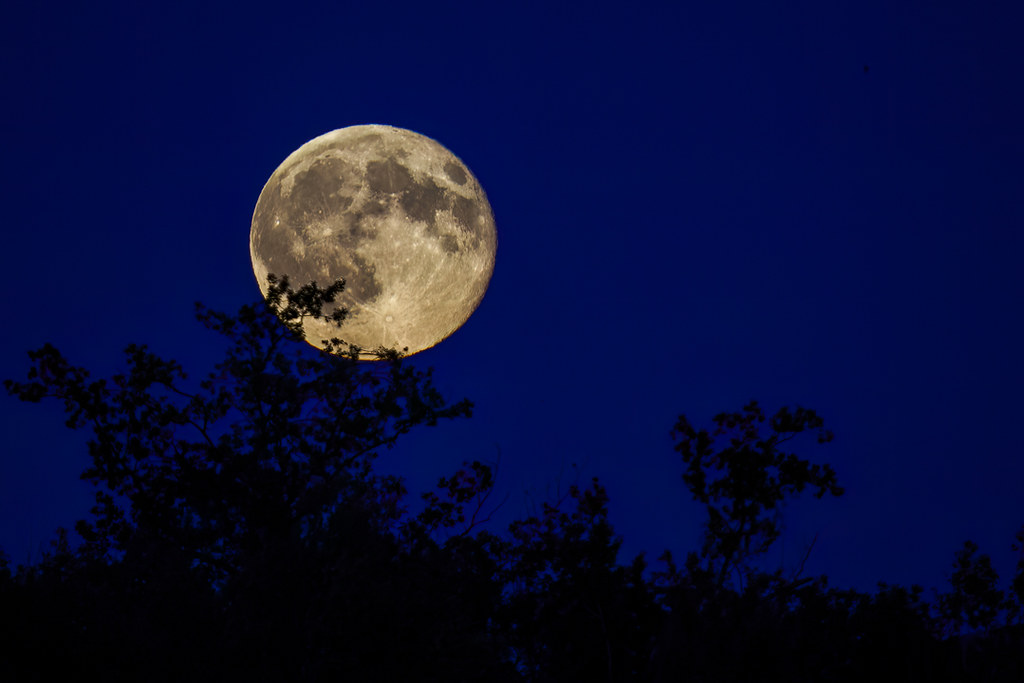 Vollmond in der PCA