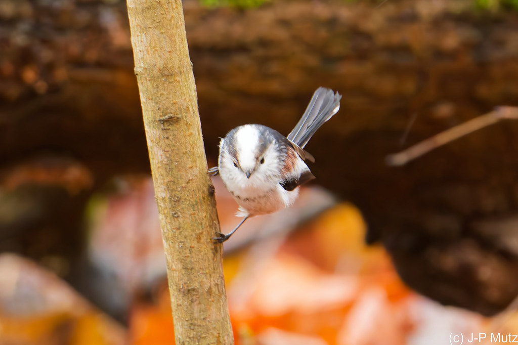 Et maintenant, je vais partir