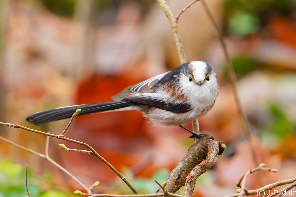 Regarde moi, dans les yeux