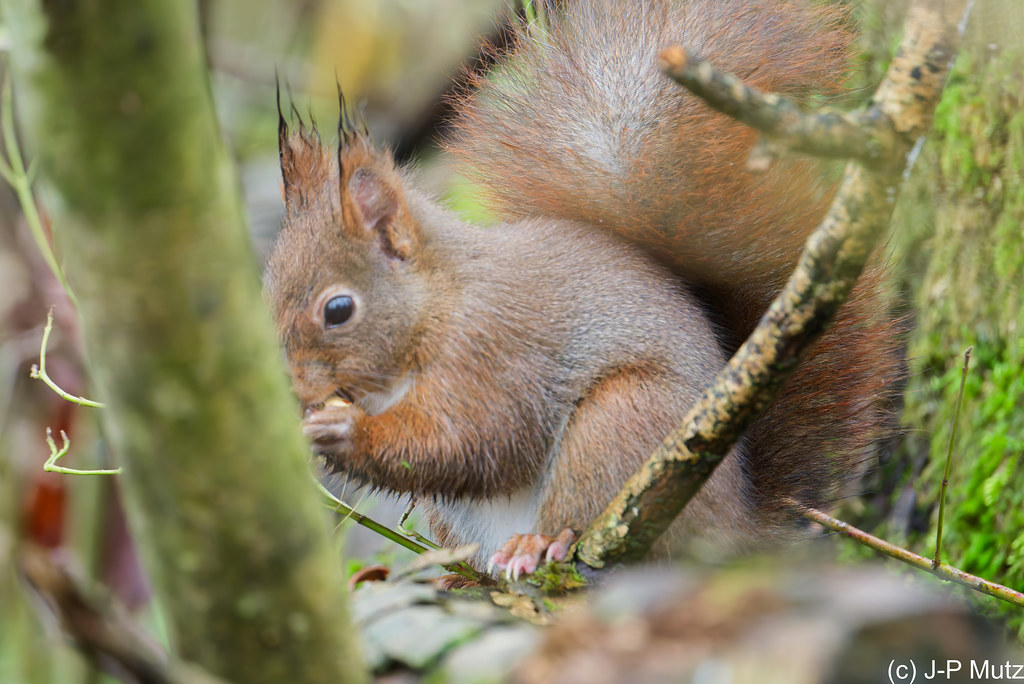 A enfin, en voilà une !