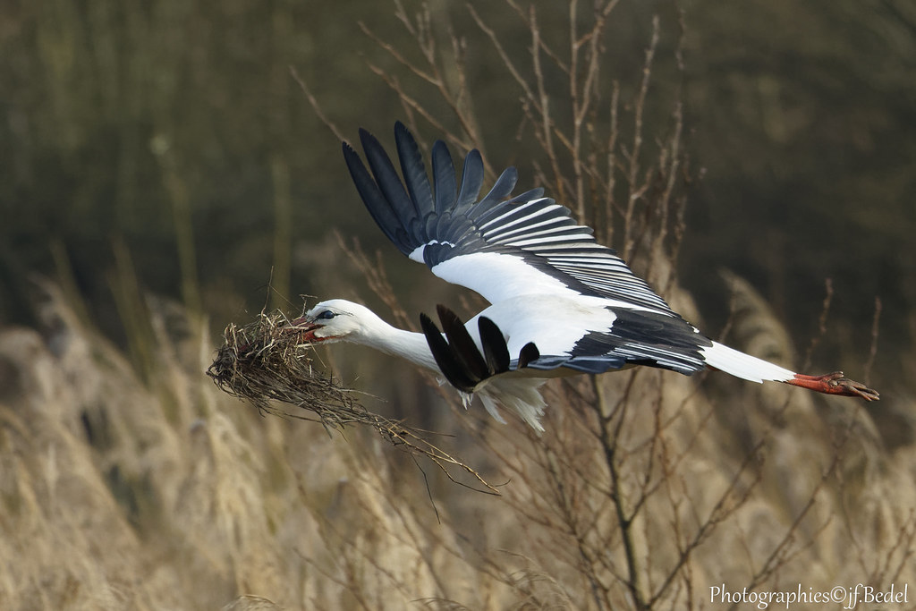 Construction en cours
